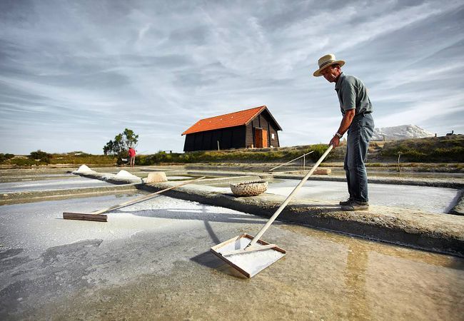 Ferienhaus in Bretignolles-sur-Mer - 150 m vom Strand entfernt - Vendée-Haus für 6 Personen Ferienhaus in Bretignolles-sur-Mer - 150 m vom Strand entfernt - Vendée-Haus für 6 Personen