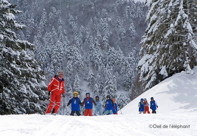 Ferienwohnung in Adervielle-Pouchergues - Belle Sayette - 200 m von den Pisten entfernt  Ferienwohnung in Adervielle-Pouchergues - Belle Sayette - 200 m von den Pisten entfernt