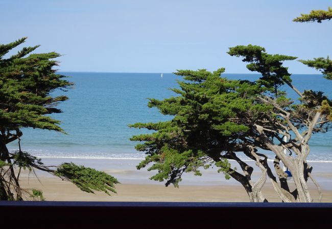 Ferienwohnung in Pléneuf-Val-André - 50m Strand, Wohnung mit Meerblick für 3 Ferienwohnung in Pléneuf-Val-André - 50m Strand, Wohnung mit Meerblick für 3