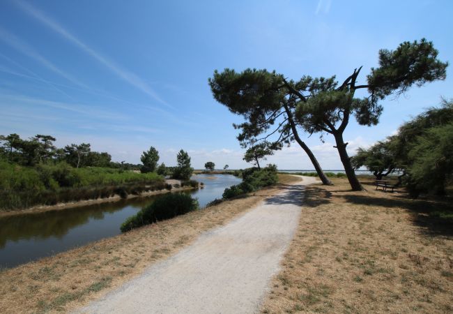 Ferienhaus in Andernos-les-Bains - Haus für 8 mit Garten und Terrasse - Ruhig Ferienhaus in Andernos-les-Bains - Haus für 8 mit Garten und Terrasse - Ruhig