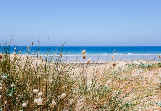 Ferienhaus in Saint-Lunaire - 10 min vom Großen Strand entfernt - 3* Haus Ferienhaus in Saint-Lunaire - 10 min vom Großen Strand entfernt - 3* Haus