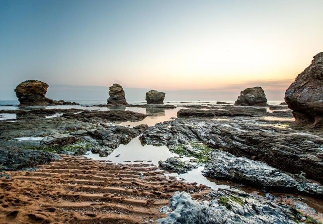 Chalet in Saint-Gilles-Croix-de-Vie - Hübsches Chalet für 6, ganzjährig Schwimmbad Chalet in Saint-Gilles-Croix-de-Vie - Hübsches Chalet für 6, ganzjährig Schwimmbad