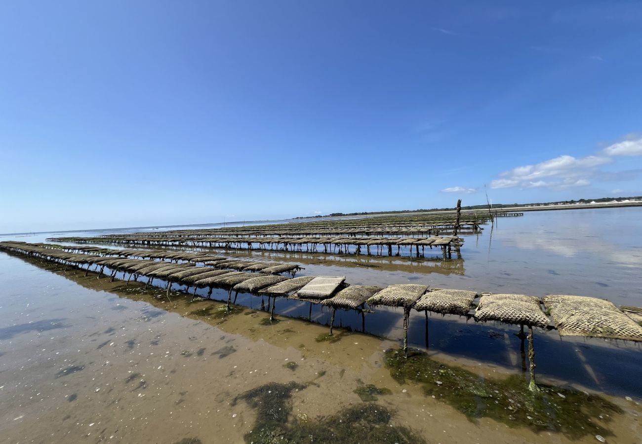 Ferienhaus in Le Tour-du-Parc - Neues Haus für 8 - 500m plage du Rouvran