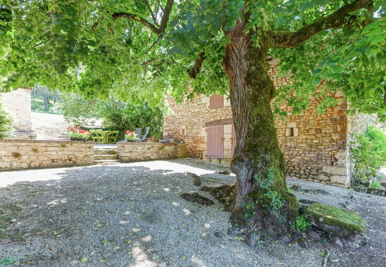 Ferienhaus in Peyzac-le-Moustier - Haus mit großem Garten inmitten der Natur