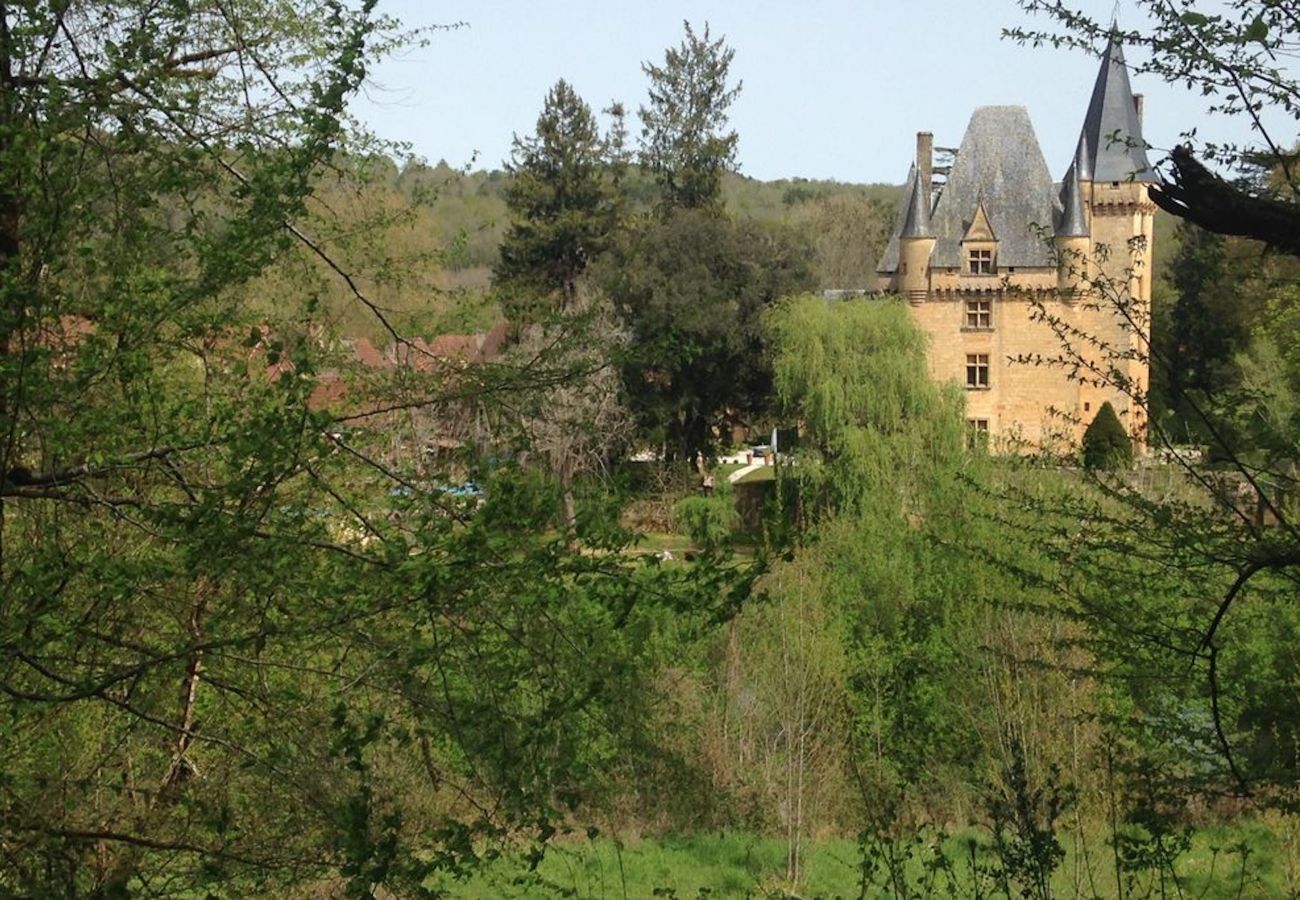 Ferienhaus in Peyzac-le-Moustier - Haus mit großem Garten inmitten der Natur