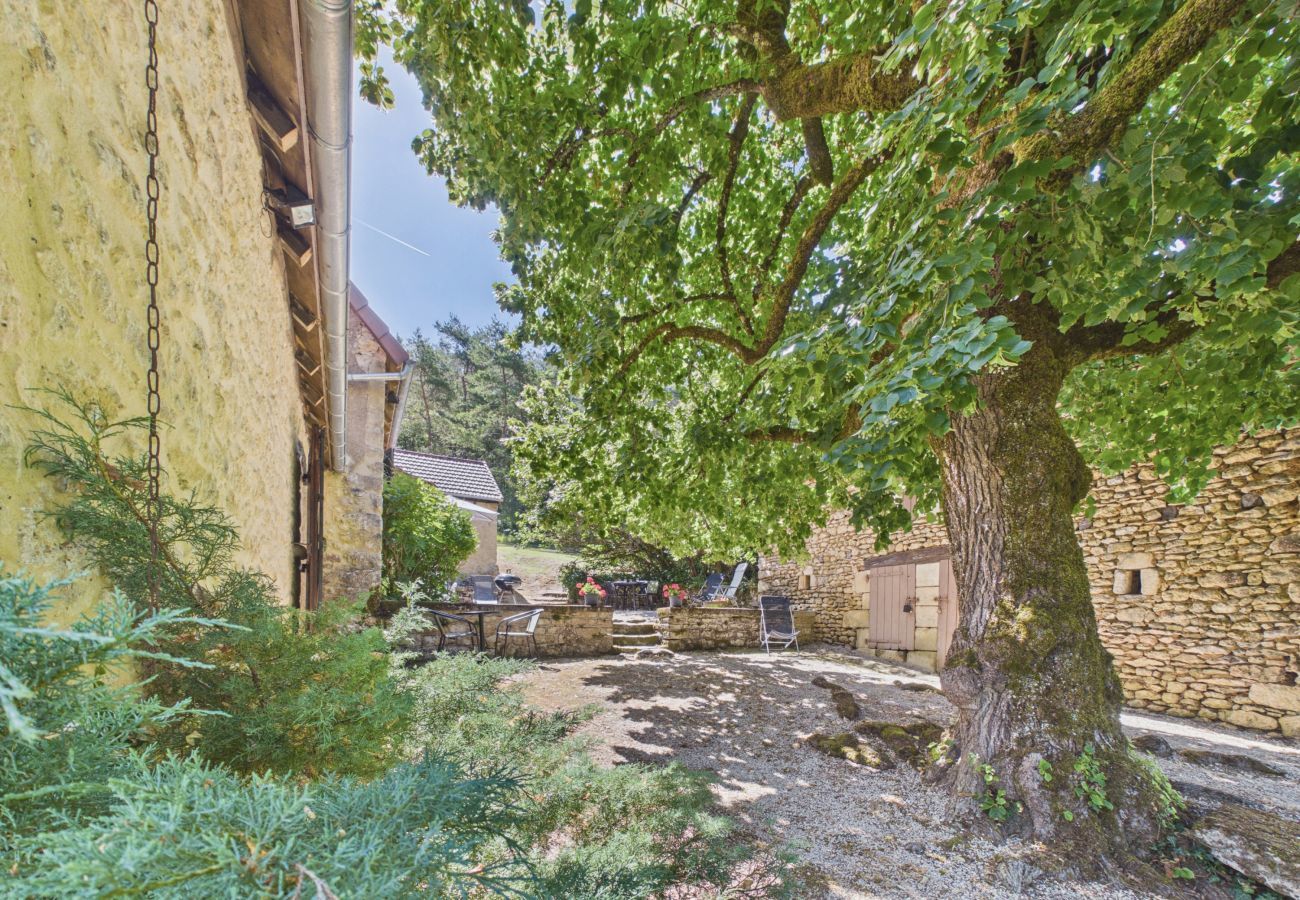 Ferienhaus in Peyzac-le-Moustier - Haus mit großem Garten inmitten der Natur