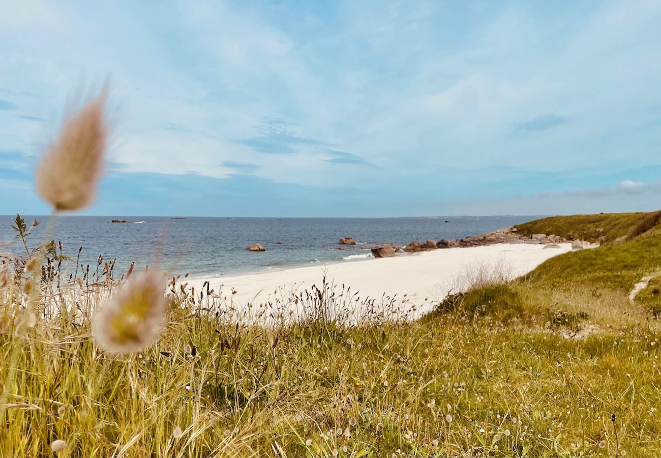 Ferienhaus in Plounéour-Trez - Haus für 6, 200m bis zum Meer in Plounéour Trez
