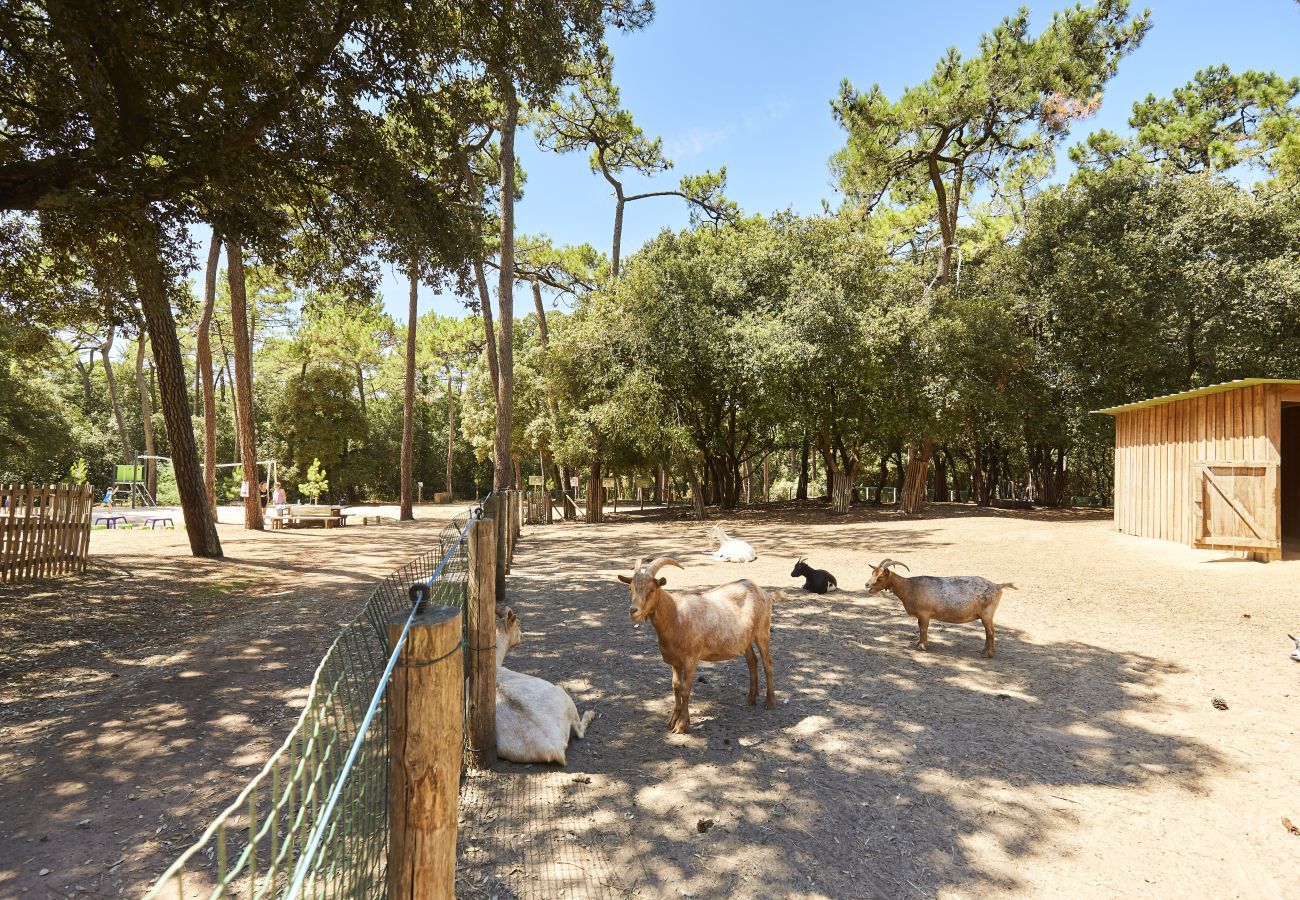 Ferienhaus in Longeville-sur-Mer - Modernes Haus - Garten - 8 Erw./1 Kind