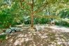 House in Andernos-les-Bains - Less than 2km from the beach, house for 6 House in Andernos-les-Bains - Less than 2km from the beach, house for 6