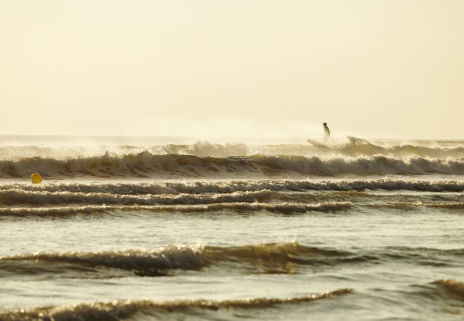 Chalet in Bretignolles-sur-Mer - Chalet for 4 in a Domain with pool in Brétignolles Chalet in Bretignolles-sur-Mer - Chalet for 4 in a Domain with pool in Brétignolles
