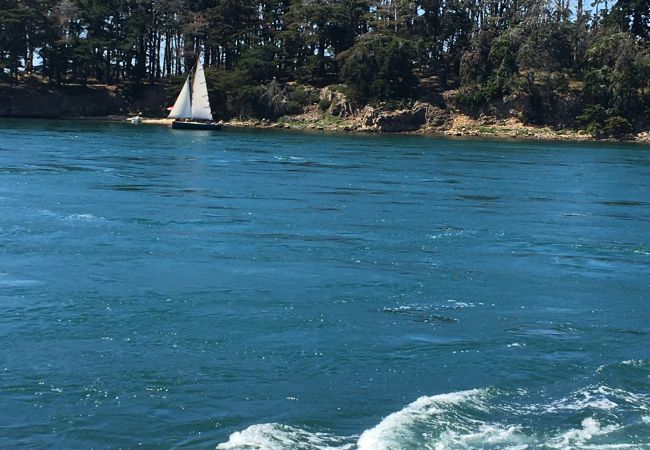 House in Arzon - House for 5 - Large garden - 700m from beach House in Arzon - House for 5 - Large garden - 700m from beach