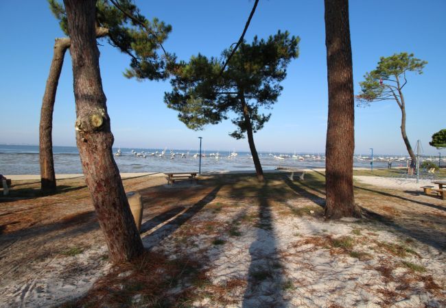 House in Andernos-les-Bains - 300m from the beach-Bay of Arcachon- House for 6 House in Andernos-les-Bains - 300m from the beach-Bay of Arcachon- House for 6