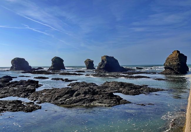 Studio in St. Hilaire de Riez - Apartment for 2 on St Hilaire Corniche Studio in St. Hilaire de Riez - Apartment for 2 on St Hilaire Corniche