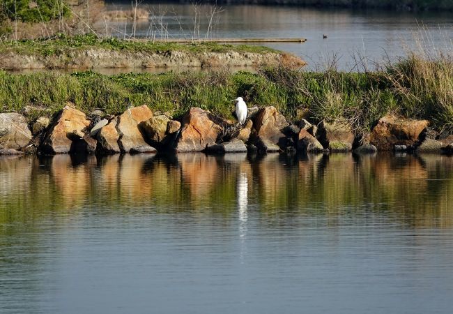 Apartment in St. Hilaire de Riez - Flat for 4 in the town centre - near by tren station Apartment in St. Hilaire de Riez - Flat for 4 in the town centre - near by tren station