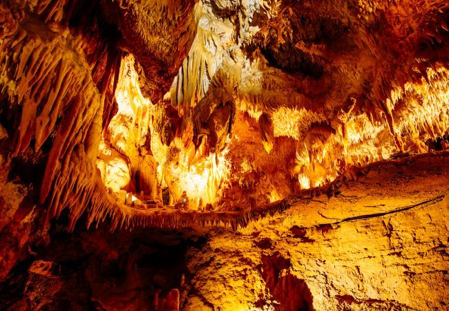 House in Auriac-du-Périgord - Getaway for 2 in Auriac with cozy garden House in Auriac-du-Périgord - Getaway for 2 in Auriac with cozy garden