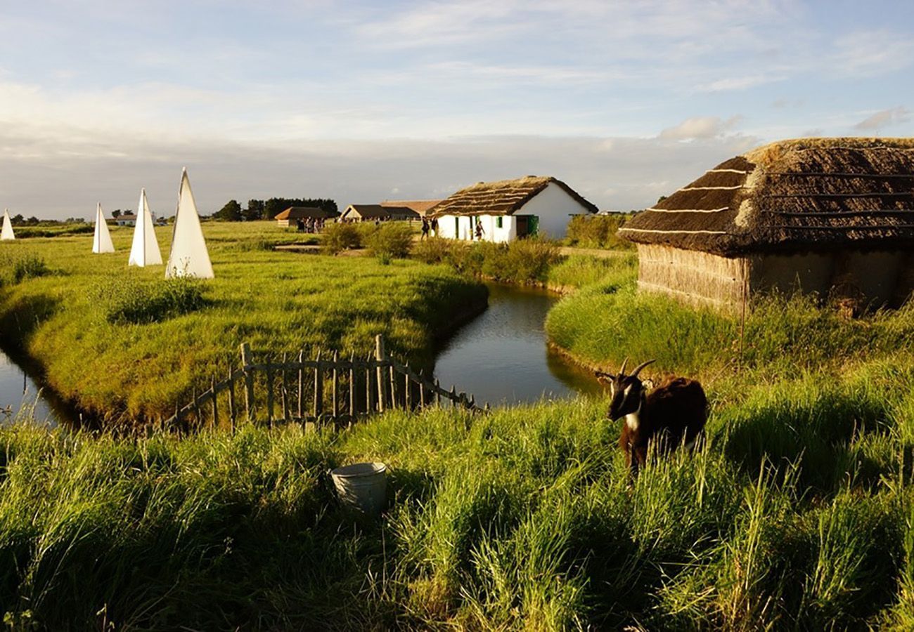 House in Notre-Dame-de-Monts - Charming house at 500 m from the coast for 4