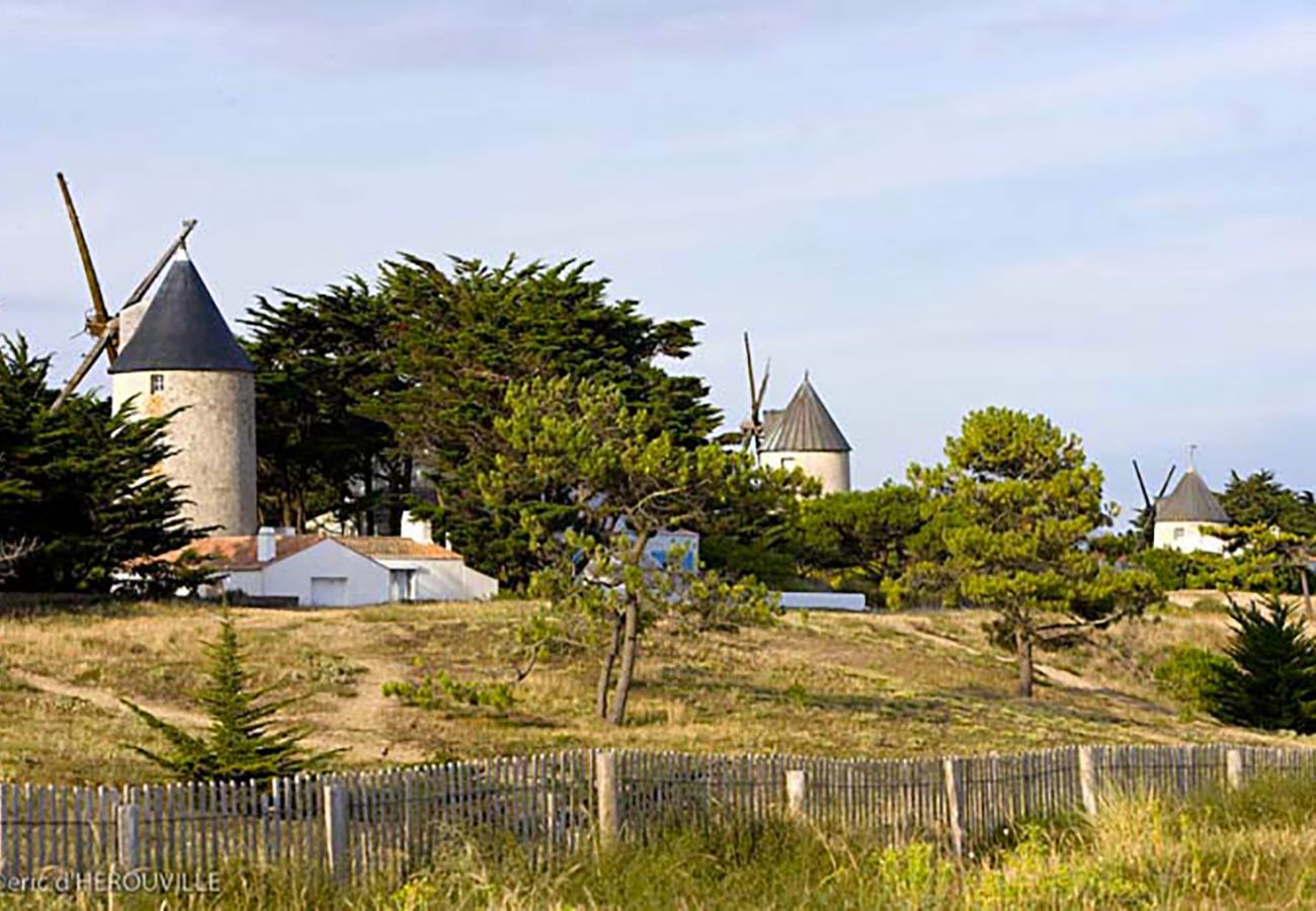 House in Beauvoir-sur-Mer - In the heart of the city, pretty house for 6 with garden