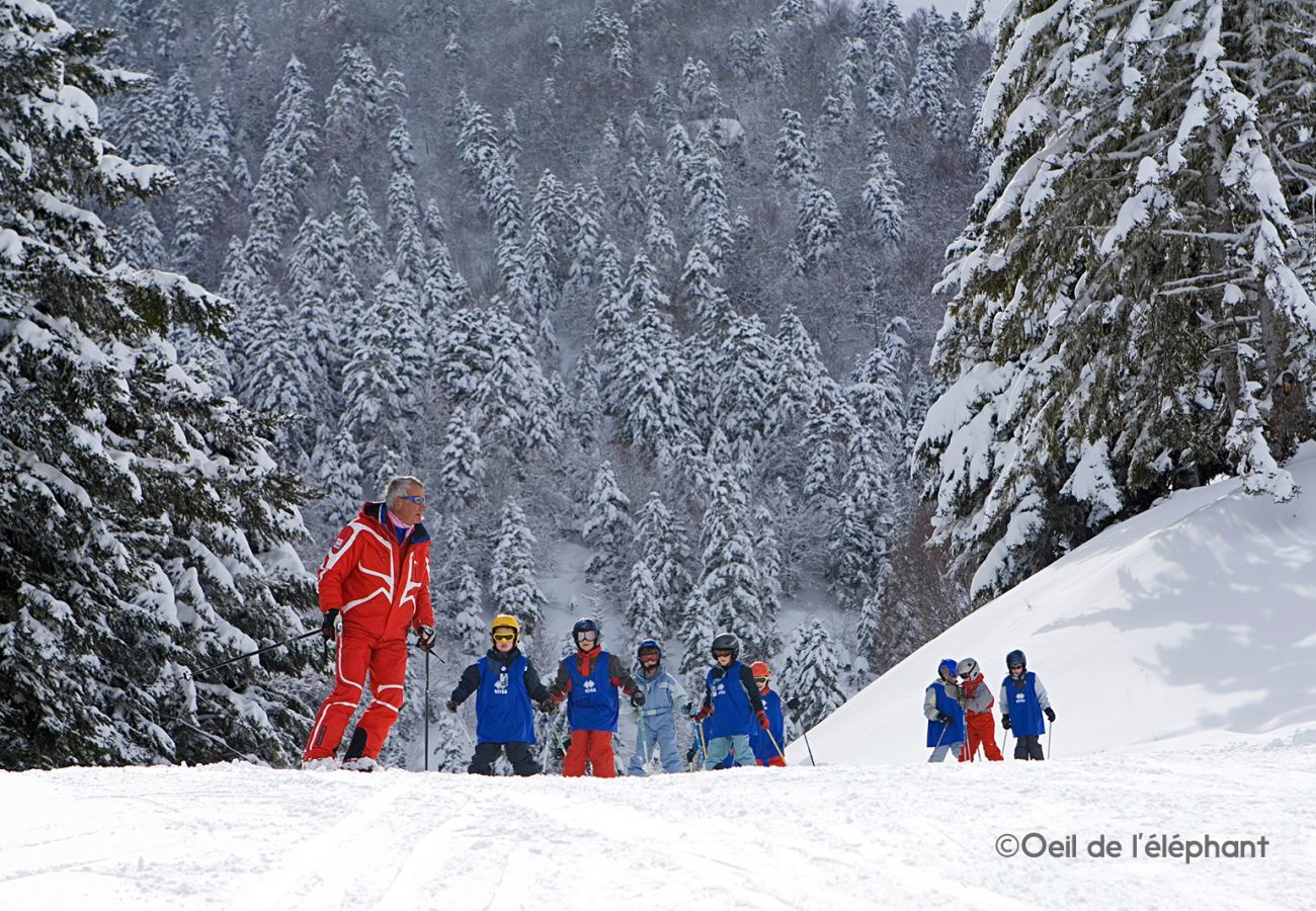 Apartment in Adervielle-Pouchergues - Séjour ski pour 6 à 200m des pistes