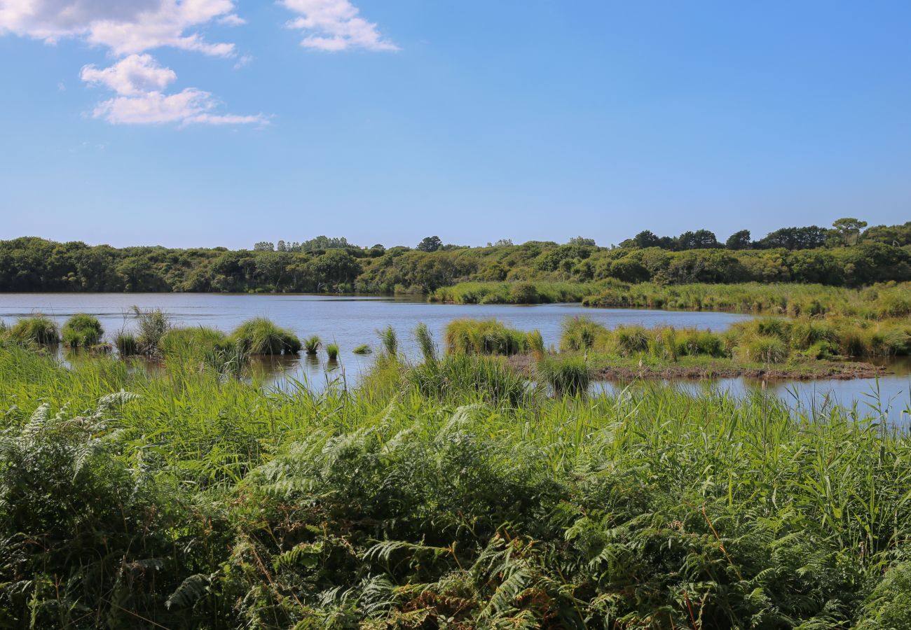 House in Tréguennec - Cottage- Sleeps 10 - Sea view