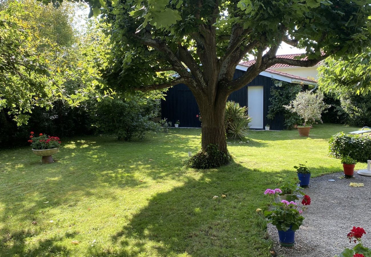 Villa in Andernos-les-Bains - 200m from the beach- House with great garden 