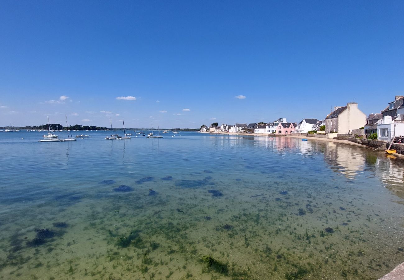 House in Ile Tudy -  350m from the beach - Nice house with garden