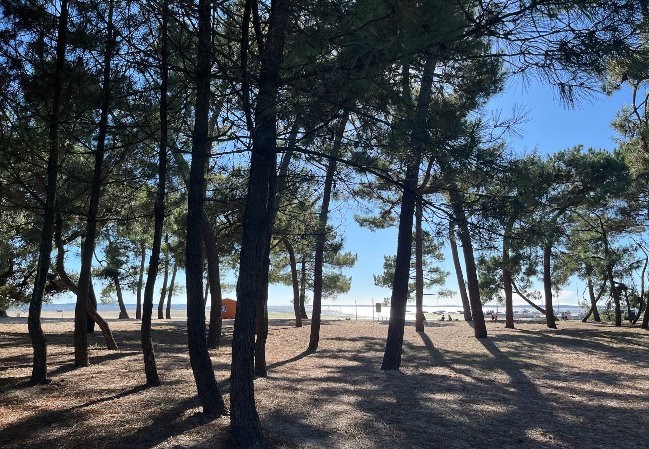 House in Andernos-les-Bains - Spacious Villa under the pines andpool