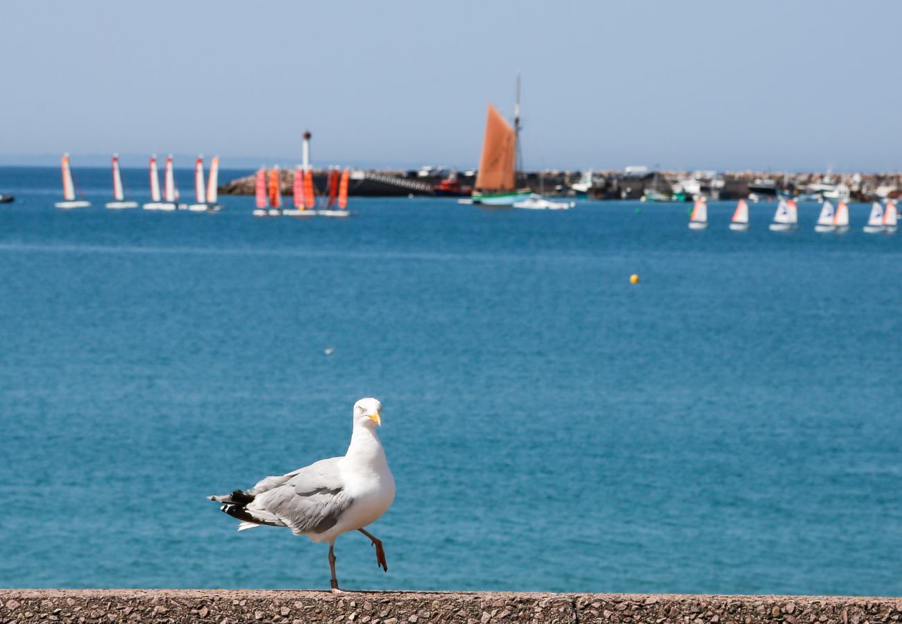 Apartment in Erquy - 25m from the beach, seaview, flat for 4