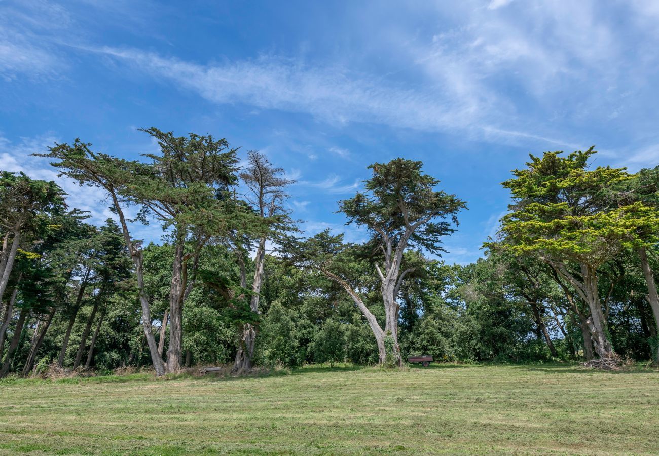 House in La Turballe - Castle for 13 - 550m from the salt marshes