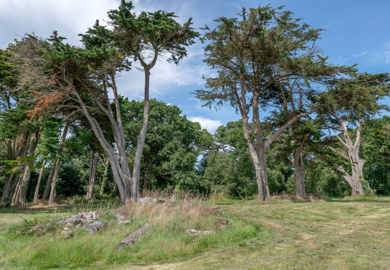 House in La Turballe - Castle for 13 - 550m from the salt marshes