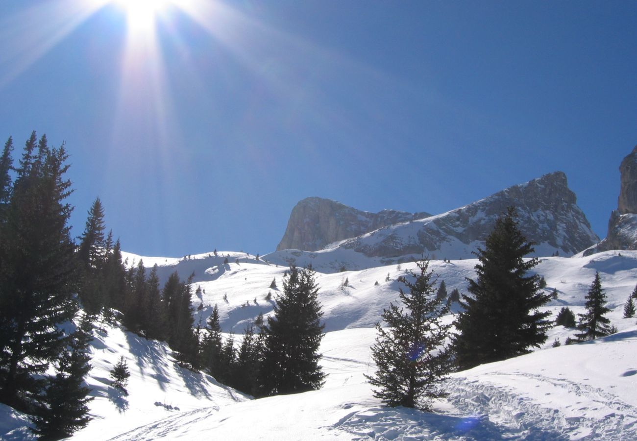 Chalet in Le Dévoluy - 400m from the slopes, comfortable chalet for 10
