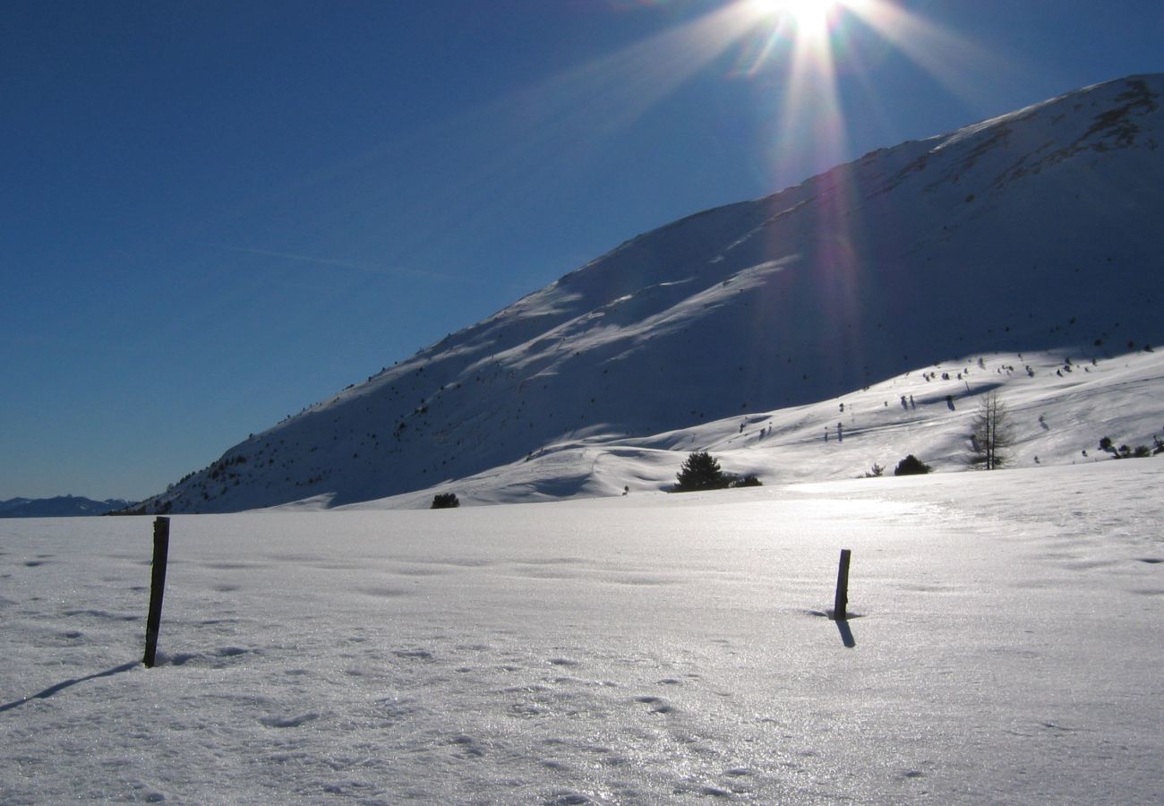 Chalet in Le Dévoluy - 400m from the slopes, comfortable chalet for 10