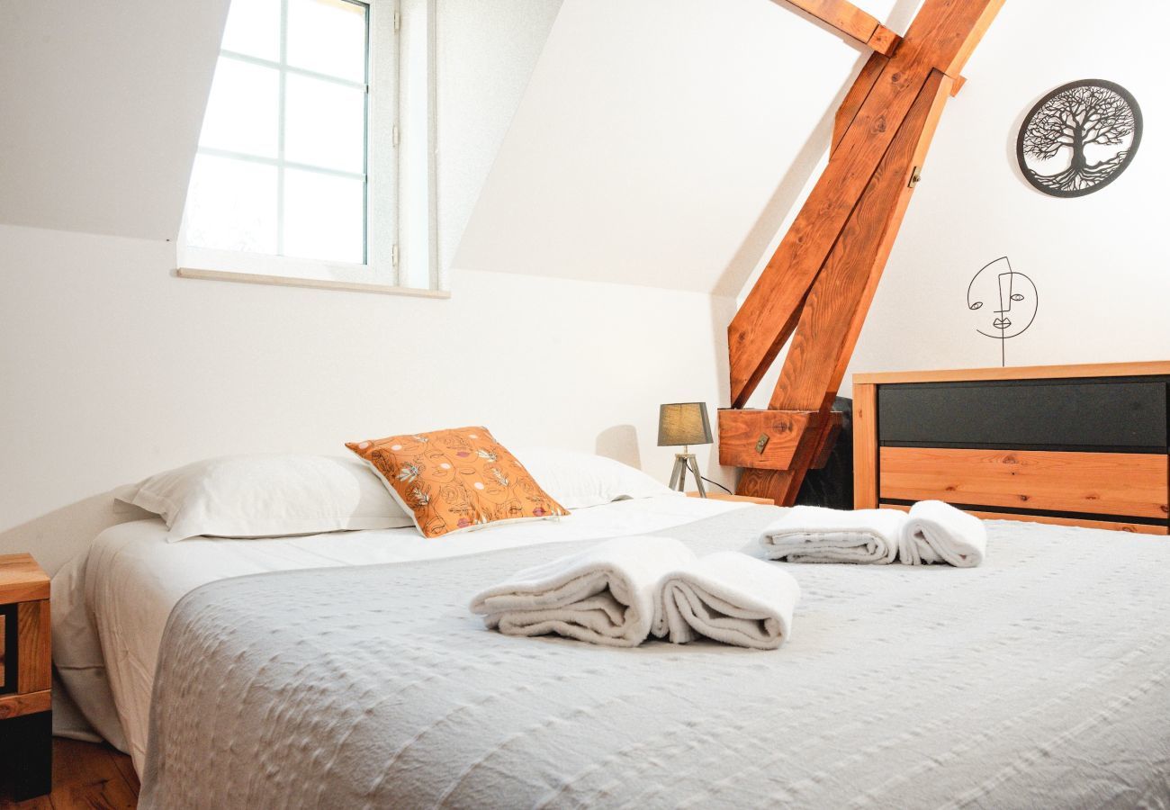 House in La Chapelle-Aubareil - Large house for 15 with pool and tennis court
