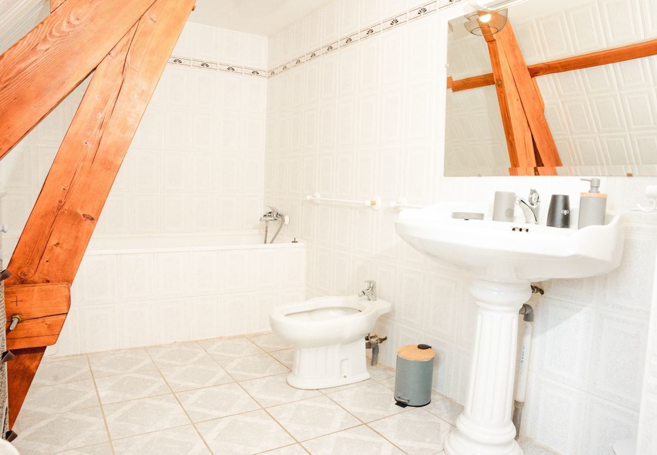 House in La Chapelle-Aubareil - Large house for 15 with pool and tennis court