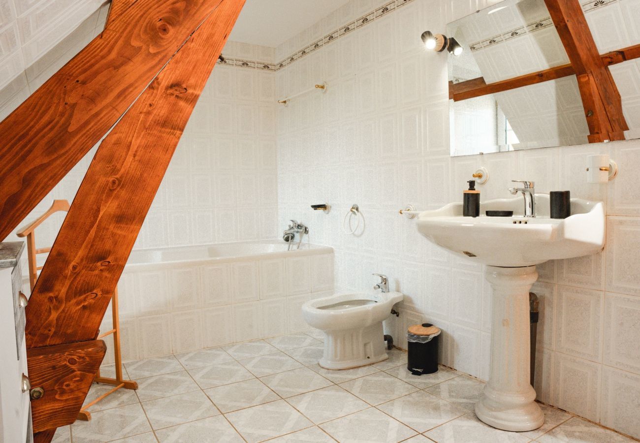 House in La Chapelle-Aubareil - Large house for 15 with pool and tennis court