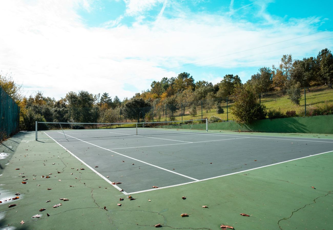 House in La Chapelle-Aubareil - Large house for 15 with pool and tennis court