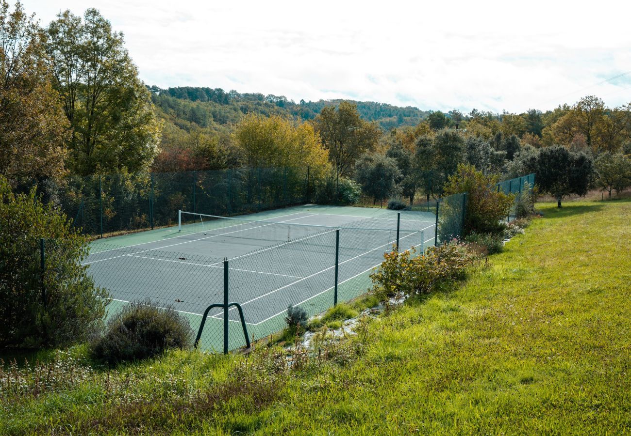 House in La Chapelle-Aubareil - Large house for 15 with pool and tennis court