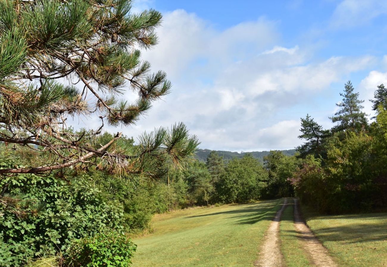 House in Peyzac-le-Moustier - House with a large garden surrounded by nature