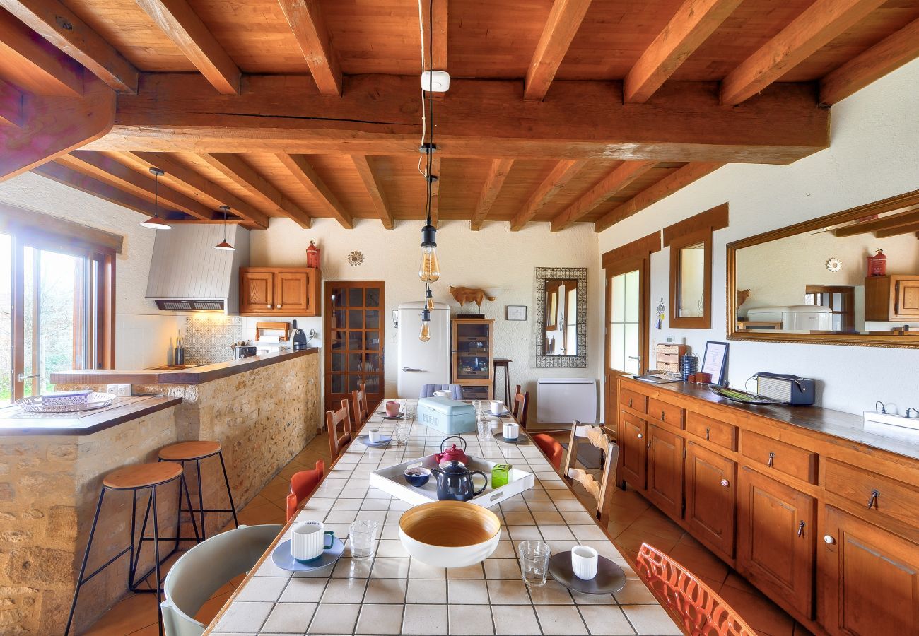House in Plazac - Stone house with swimming pool and large garden