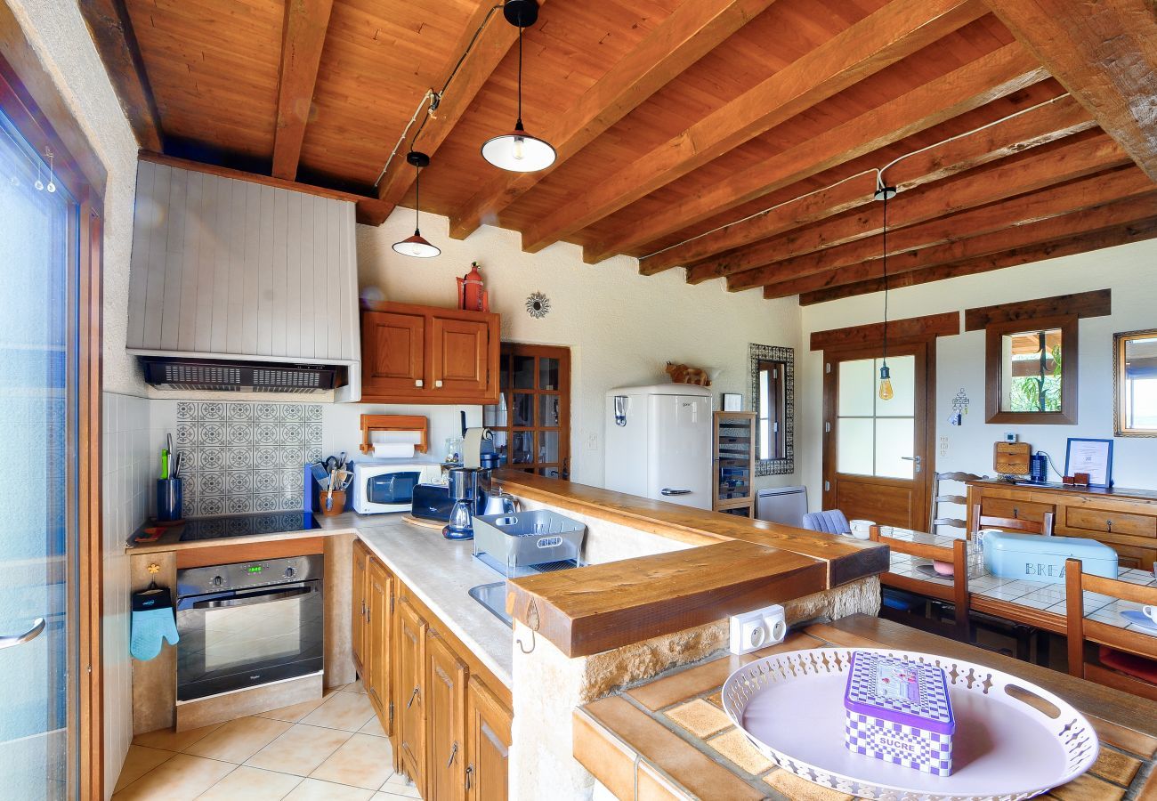 House in Plazac - Stone house with swimming pool and large garden