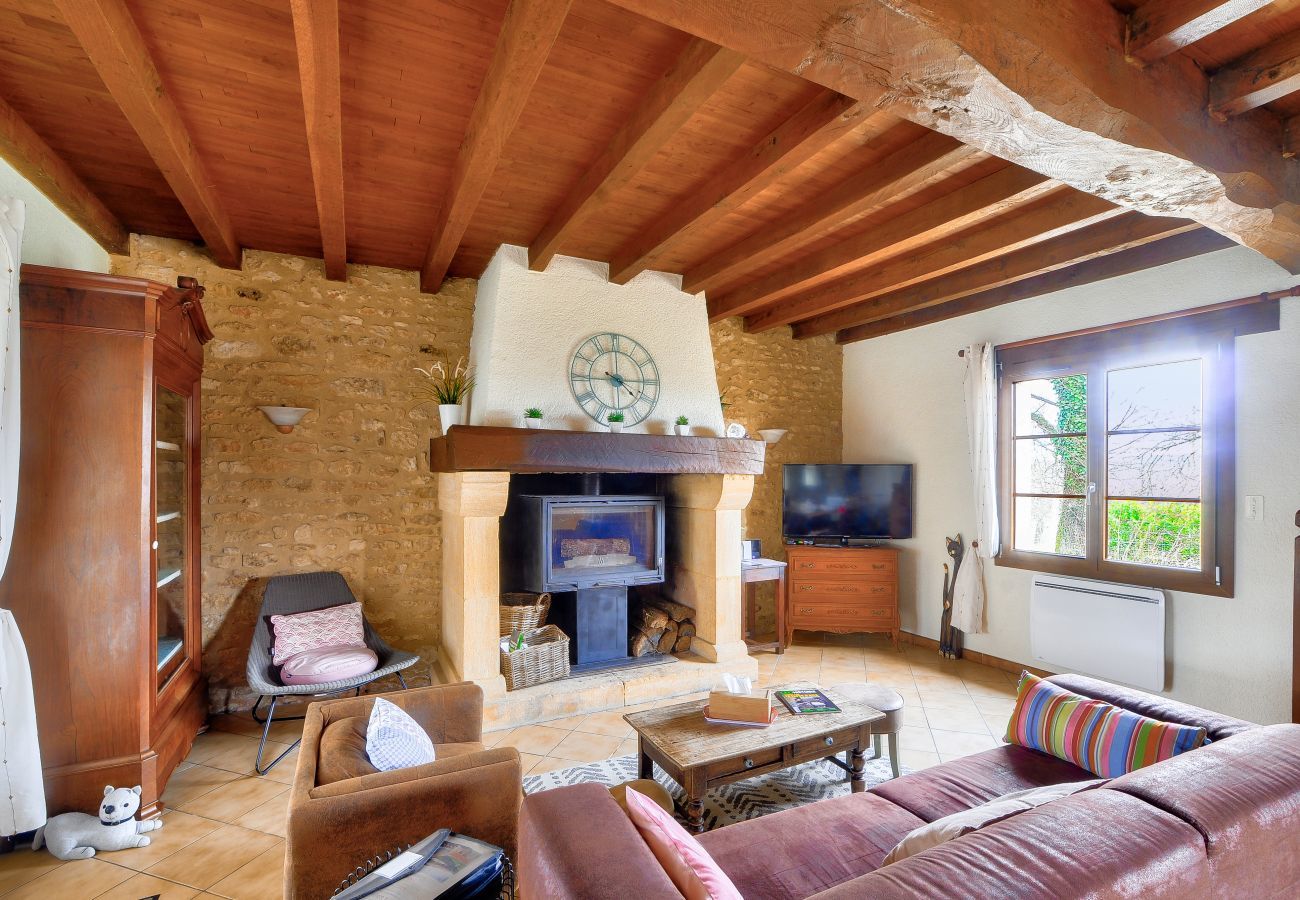House in Plazac - Stone house with swimming pool and large garden