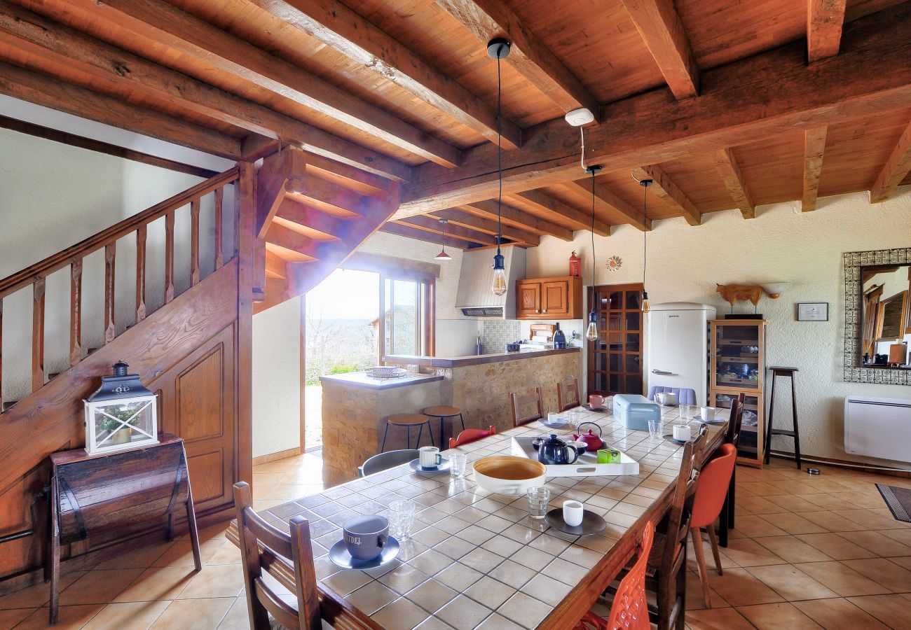 House in Plazac - Stone house with swimming pool and large garden