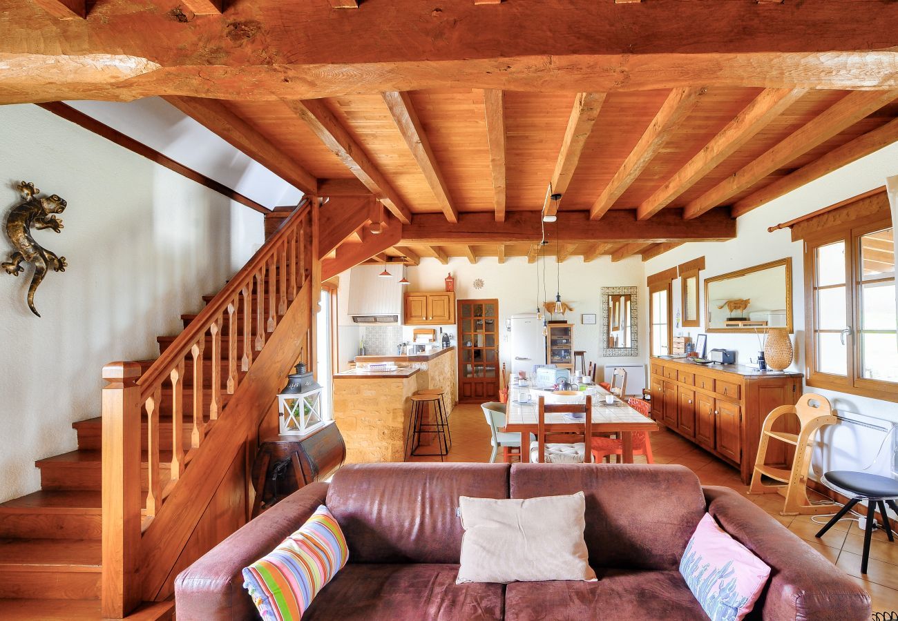 House in Plazac - Stone house with swimming pool and large garden
