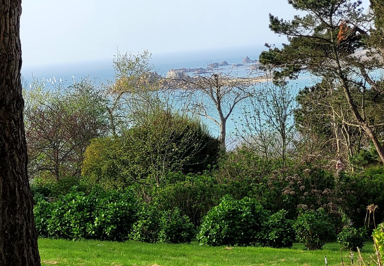 House in Penvénan - House 400m from the beach, for 6 people