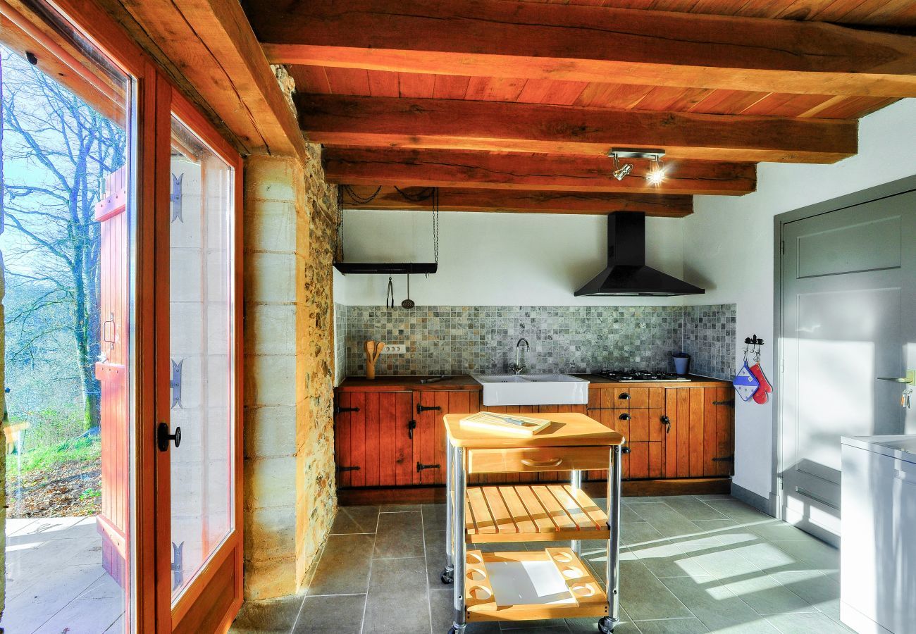 House in Rouffignac-Saint-Cernin-de-Reilhac - In the heart of the Dordogne, house for 6, pool