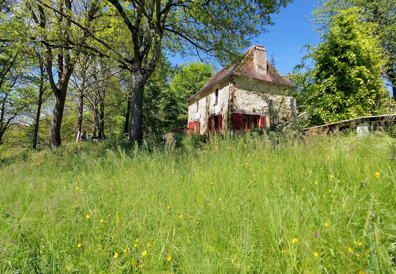 House in Rouffignac-Saint-Cernin-de-Reilhac - In the heart of the Dordogne, house for 6, pool
