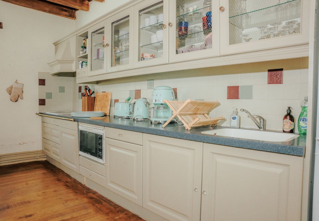 House in Saint-Léon-sur-Vézère - Beautiful house with heated pool for 6