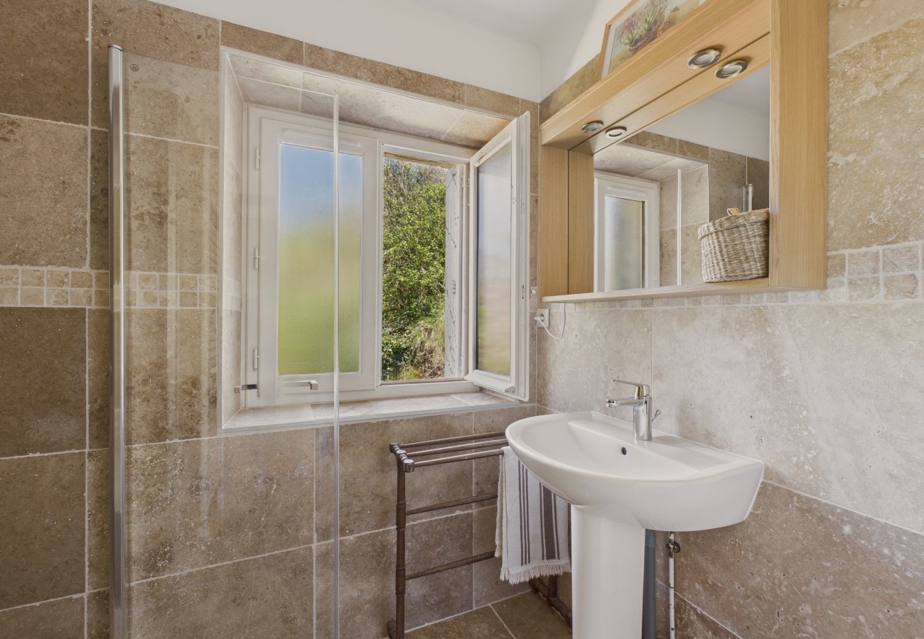 House in Plazac - Charming house in the Périgord Noir for 7