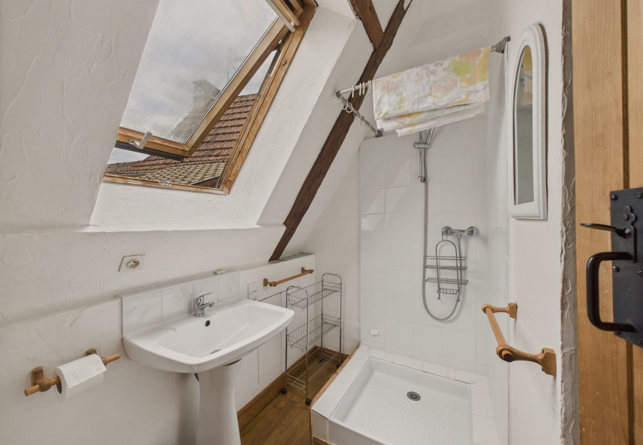 House in Montignac - Semi-detached cottage - shared pool - 4 people