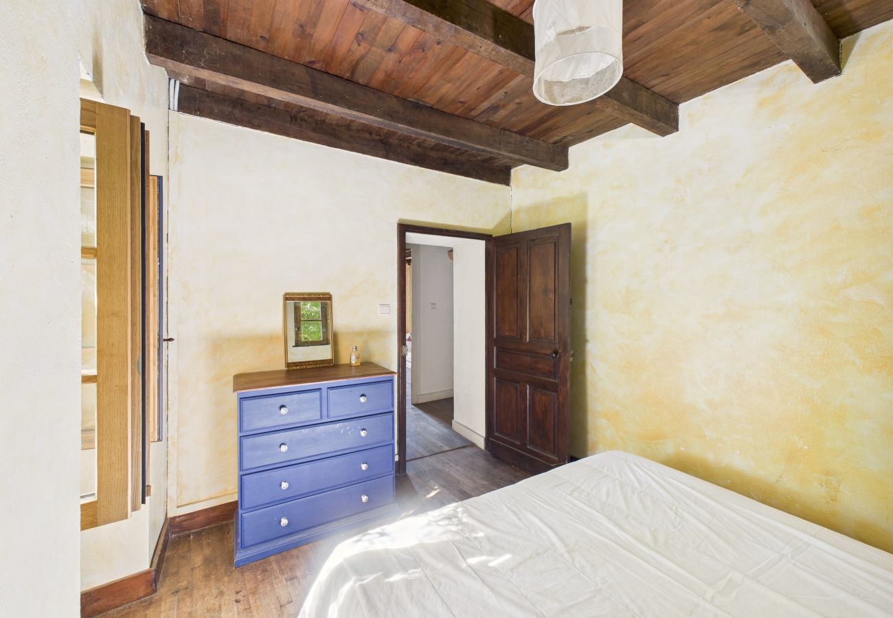 House in Saint-Léon-sur-Vézère - Lovely house with pool and garden 