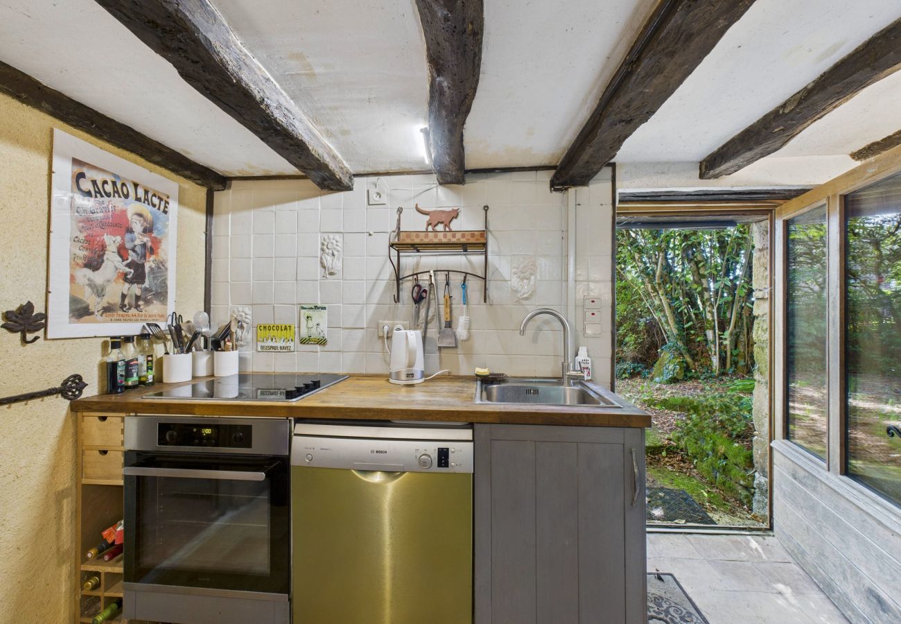 House in Saint-Léon-sur-Vézère - Lovely house with pool and garden 